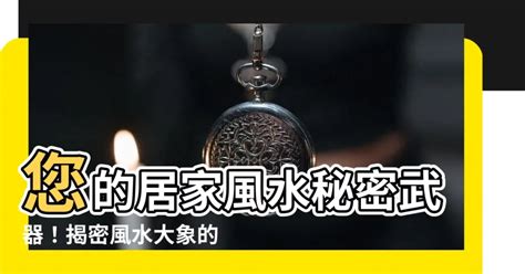 風水象鼻|風水象鼻擺放位置大揭秘